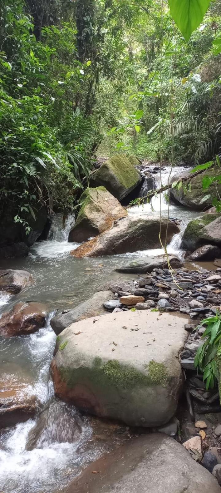 라 베가 Finca Campestre San Miguelito 빌라 외부 사진